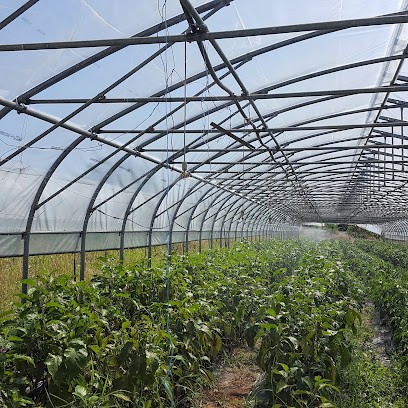 Ferme Coumet, Primeur Fruits et Légumes à Préchacq-les-Bains