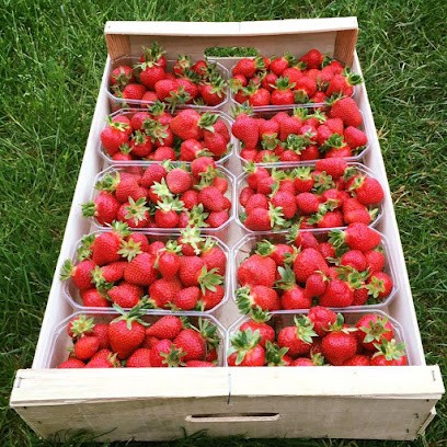 Les Saveurs Maraîchères, Primeur Fruits et Légumes à Lavacquerie