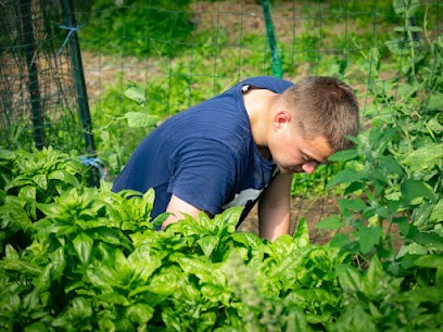 Jardins Du Boulonnais, Primeur Fruits et Légumes à Saint-Martin-Boulogne