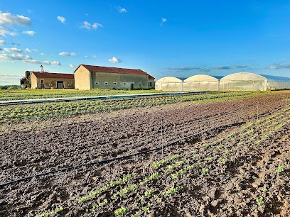 Cueillette La Ligérienne, Primeur Fruits et Légumes à Marseilles-lès-Aubigny
