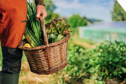 La Mini-ferme Du Morvan, Primeur Fruits et Légumes à Saint-Prix