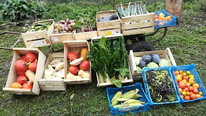 Les jardins d'Elie, Primeur Fruits et Légumes à Passy
