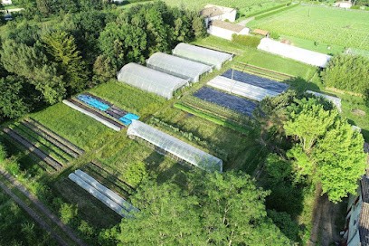 Les Jardins De La Lagune, Primeur Fruits et Légumes à Saint-André-de-Cubzac