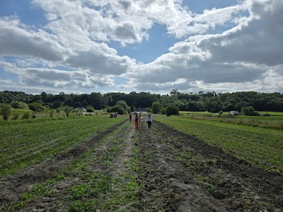 Les Jardins Ar Gwez, Primeur Fruits et Légumes à Roz-sur-Couesnon