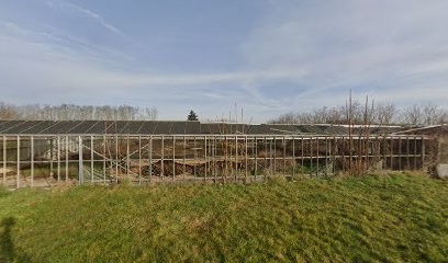 Les Serres De La Belle Au Pois Gourmand, Primeur Fruits et Légumes à Vernou-sur-Brenne