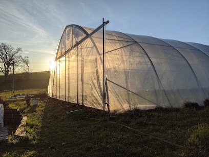 Demain au jardin, Primeur Fruits et Légumes à Cruseilles