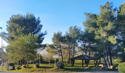 Max Maraicher Bio, Primeur - Fruits Et Légumes à Cogolin