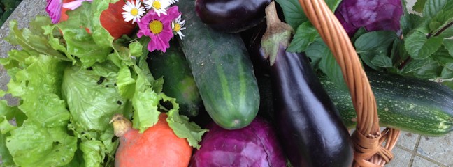Le Champ Des Possibles, Primeur Fruits et Légumes à Plonéour-Lanvern