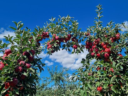 Le Verger D'Arnault, Primeur Fruits et Légumes à Marcilly-en-Villette