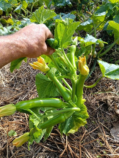 La Ferme du Mirail, Primeur Fruits et Légumes à Lantosque