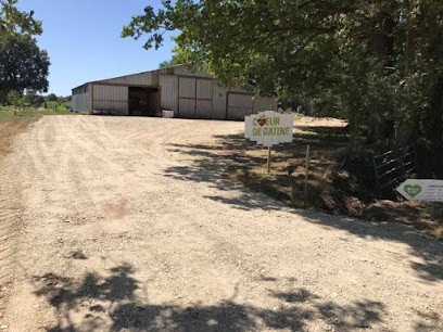 EARL COEUR DE GATINE, Primeur Fruits et Légumes à Vasles