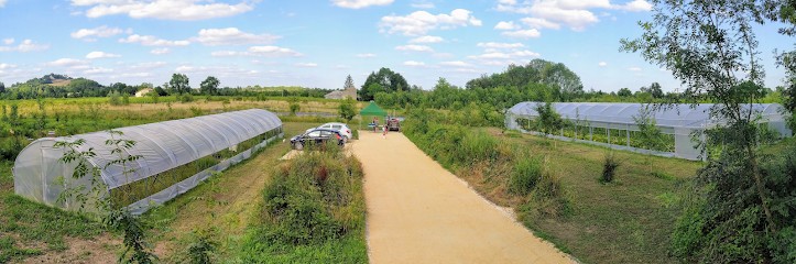 Ferme De La Roquette, Primeur Fruits et Légumes à Arveyres