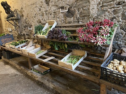 Ferme Maraîchère Goûts Et Couleurs / Olivier Davy, Primeur Fruits et Légumes à Mauges-sur-Loire
