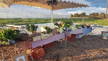 Le Jardin D'Aliwen, Primeur Fruits et Légumes à Saint-Molf