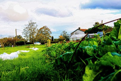 May Légumes Bio à La Source, Primeur Fruits et Légumes au May-sur-Èvre