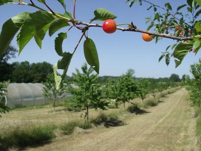 La Ferme Des Prés - Marc Burri, Primeur Fruits et Légumes à Theuley