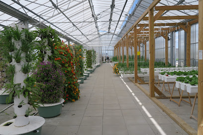 Scea La Ferme Des Jardins Perchés Primeur - Fruits Et Légumes à Tours
