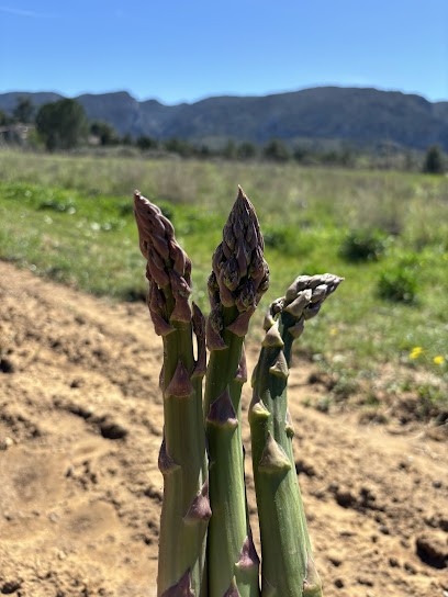 Le Potager De M’Amélie, Primeur Fruits et Légumes à Maubec