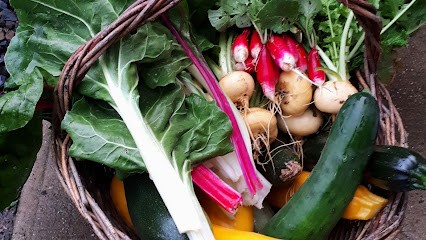 Le Jardin Des Meules - Légumes Bio, Primeur Fruits et Légumes au Mesnil-Véneron