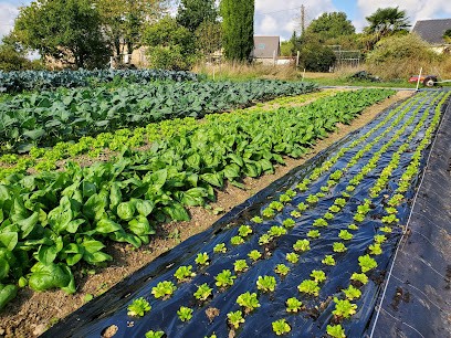Le Jardin De Misedon, Primeur Fruits et Légumes au Bourgneuf-la-Forêt