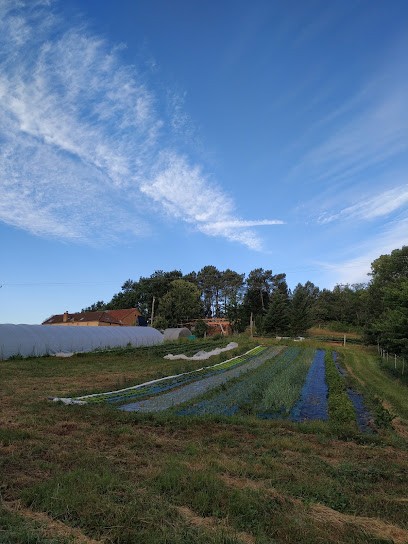 Ferme de Chaussi, Primeur Fruits et Légumes à Saint-Pardoux-et-Vielvic