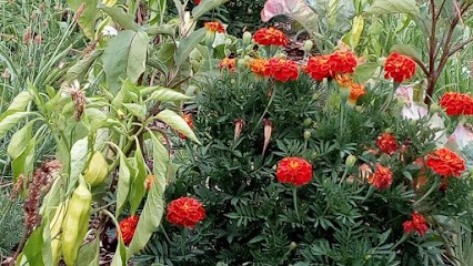 Les Jardins Du Clos, Primeur Fruits et Légumes à Nantheuil
