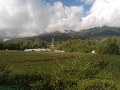 Element Terre, Primeur Fruits et Légumes à Saint-André-de-Boëge