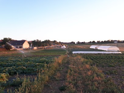 Les Jardins De La Mante Verte, Primeur Fruits et Légumes à Ochey