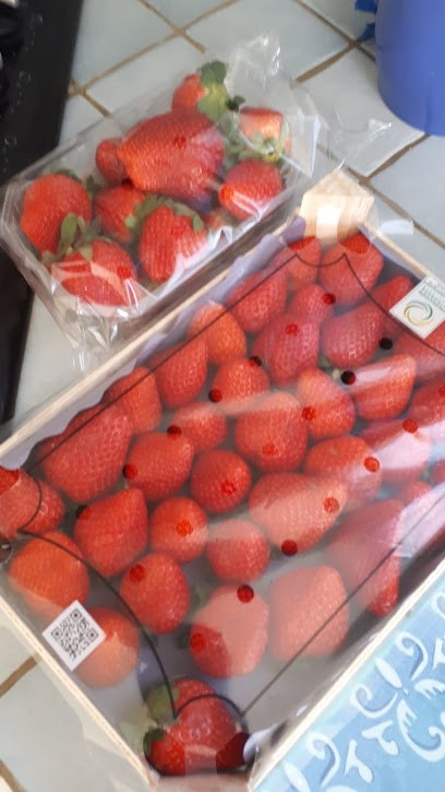 Maison Chebbi, Primeur Fruits et Légumes au Petit-Quevilly