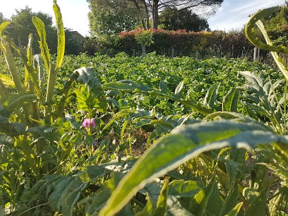 Pic Boudic, Primeur Fruits et Légumes à Bonnetan