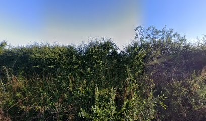 Les Jardins Des Landes, Primeur Fruits et Légumes à Vairé