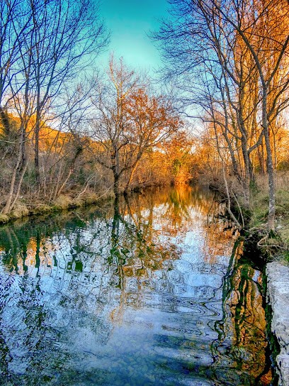 Marais Du Moullin : Point De Vente, Primeur Fruits et Légumes à Saint-André-de-Cruzières