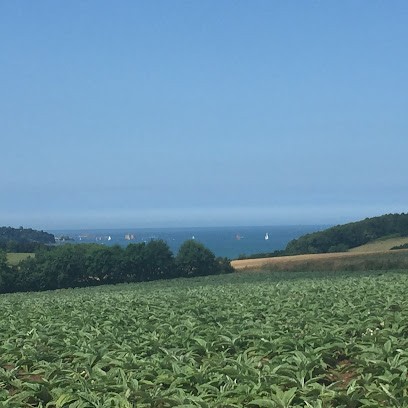 EARL De Kererec Légumes Biologiques, Primeur Fruits et Légumes à Taulé