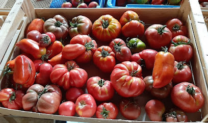 Les Jardins Du Riau Primeur - Fruits Et Légumes à Saint-Hilaire-en-Lignières