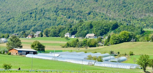 Carraz And Co, Primeur Fruits et Légumes à Vimines