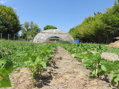La Gourmande, Primeur Fruits et Légumes à Soubran