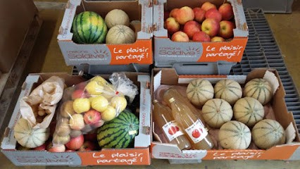 Soldive Breuillet, Primeur Fruits et Légumes à Breuillet