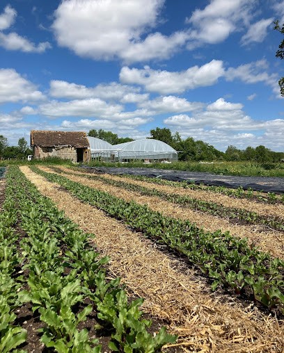 Aux jardins du Bosc, Primeur Fruits et Légumes au Bosc-Renoult