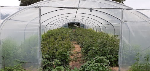 Les bio jardins de Beaumont en Beine, Primeur Fruits et Légumes à Beaumont-en-Beine