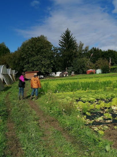 Jardins De La Croisière, Primeur Fruits et Légumes à Sens