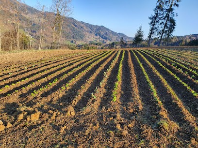 Les Jardins de BioBio, Primeur Fruits et Légumes à Boëge