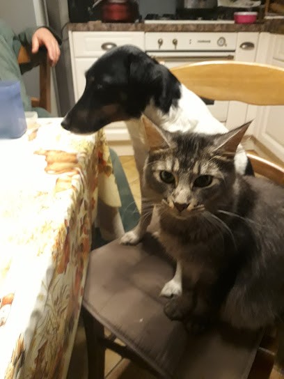 Earl Haran, Primeur Fruits et Légumes à Yvré-le-Pôlin