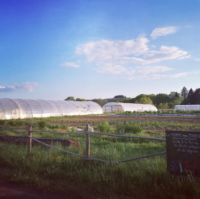 La Ferme Des Tondus Primeur - Fruits Et Légumes au Chastang