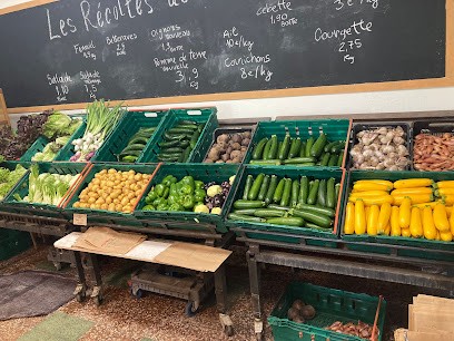 Jardin Du Pré Neuf, Primeur Fruits et Légumes à Prémeyzel