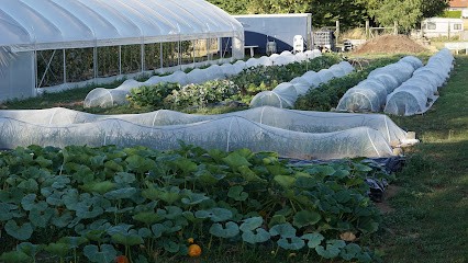 La Ferme Des Légumignons, Primeur Fruits et Légumes à Sancourt