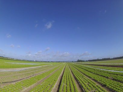 FERME DES VIGNETTES, Primeur Fruits et Légumes à Val-de-Vesle