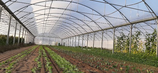 Les jardins de l'horizon, Primeur Fruits et Légumes à Pomacle
