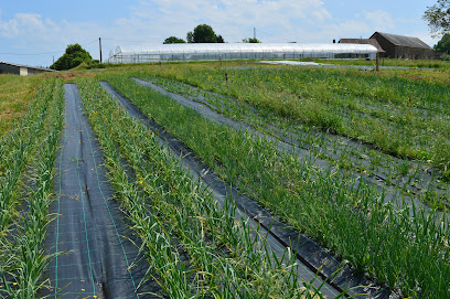 La Ferme Des Petites Bottes, Primeur - Fruits Et Légumes à Beyssenac