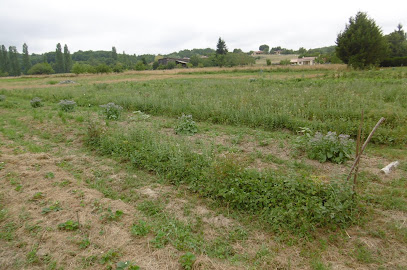 Le Champ Du Ruisseau, Primeur - Fruits Et Légumes à Montbrun-Bocage