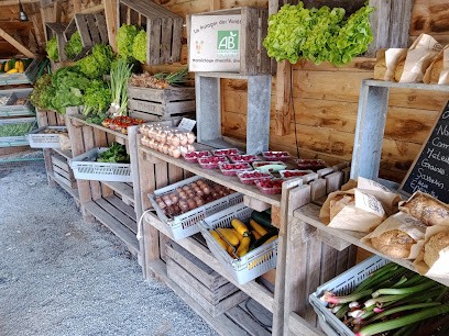 Le potager des variétés oubliées, Primeur Fruits et Légumes à Saint-Vincent-sur-Jard